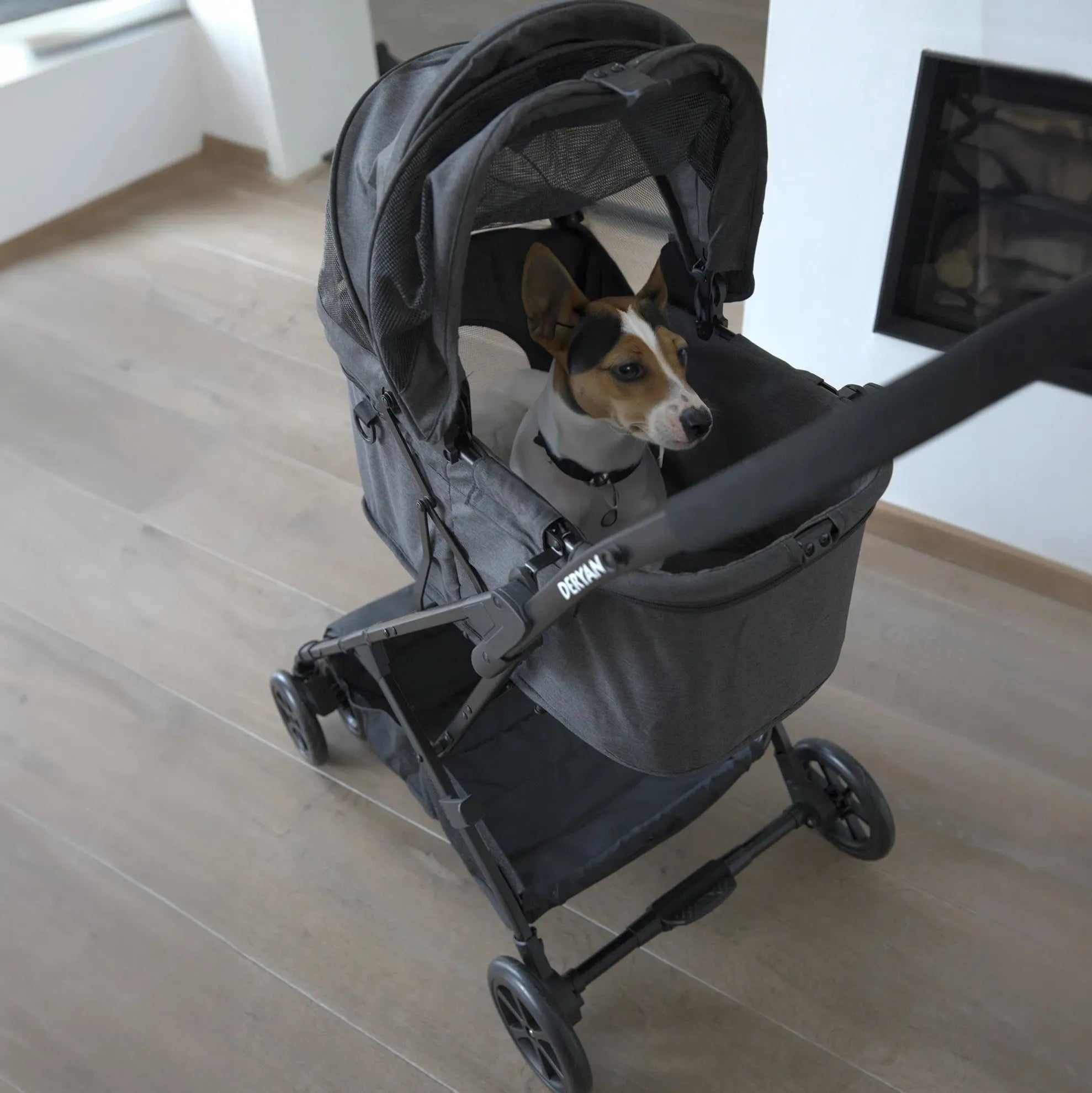 Buggy til hunde